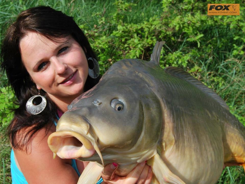 talent si frumusete - 94188937632554913394118195172n.jpg